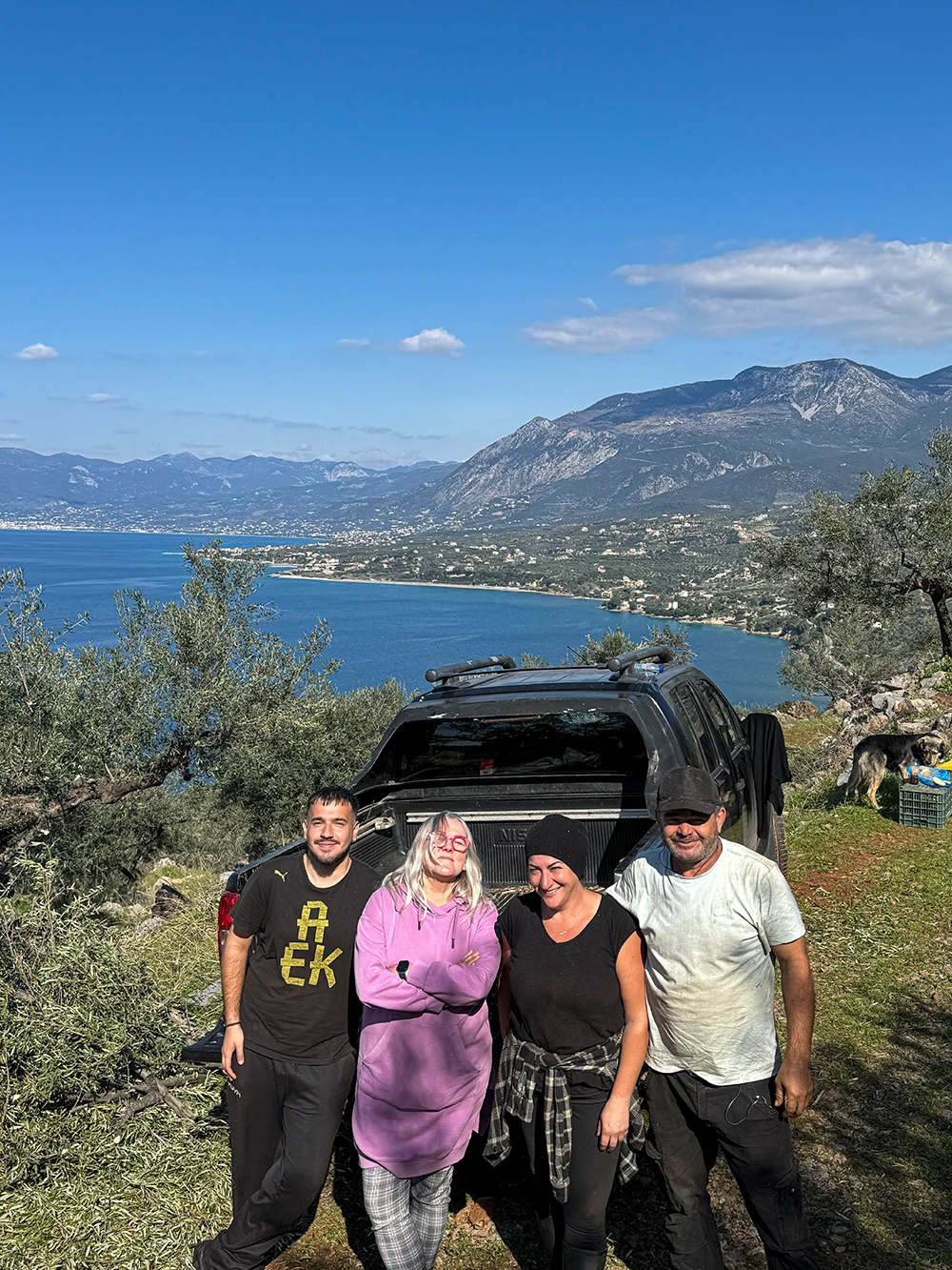  Eleni_i_oliwkobranie