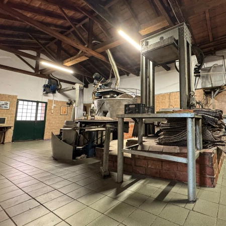 Grecka oliwa z oliwek extra virgin - BIO 5 litrów (karton z kranikiem)