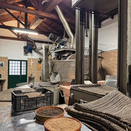 Grecka oliwa z oliwek extra virgin - BIO 5 litrów (karton z kranikiem)